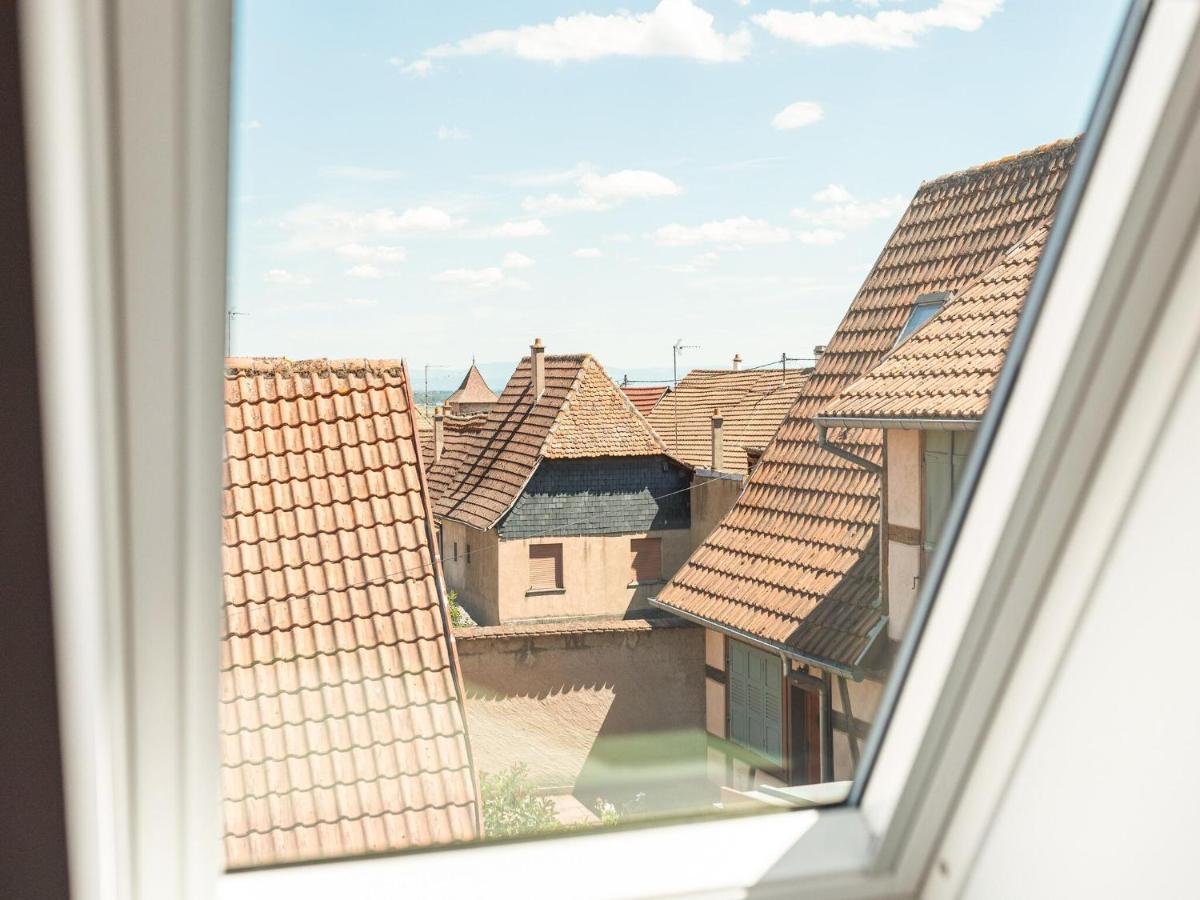 Charming Gite In Dambach La Ville With Terrace Ngoại thất bức ảnh