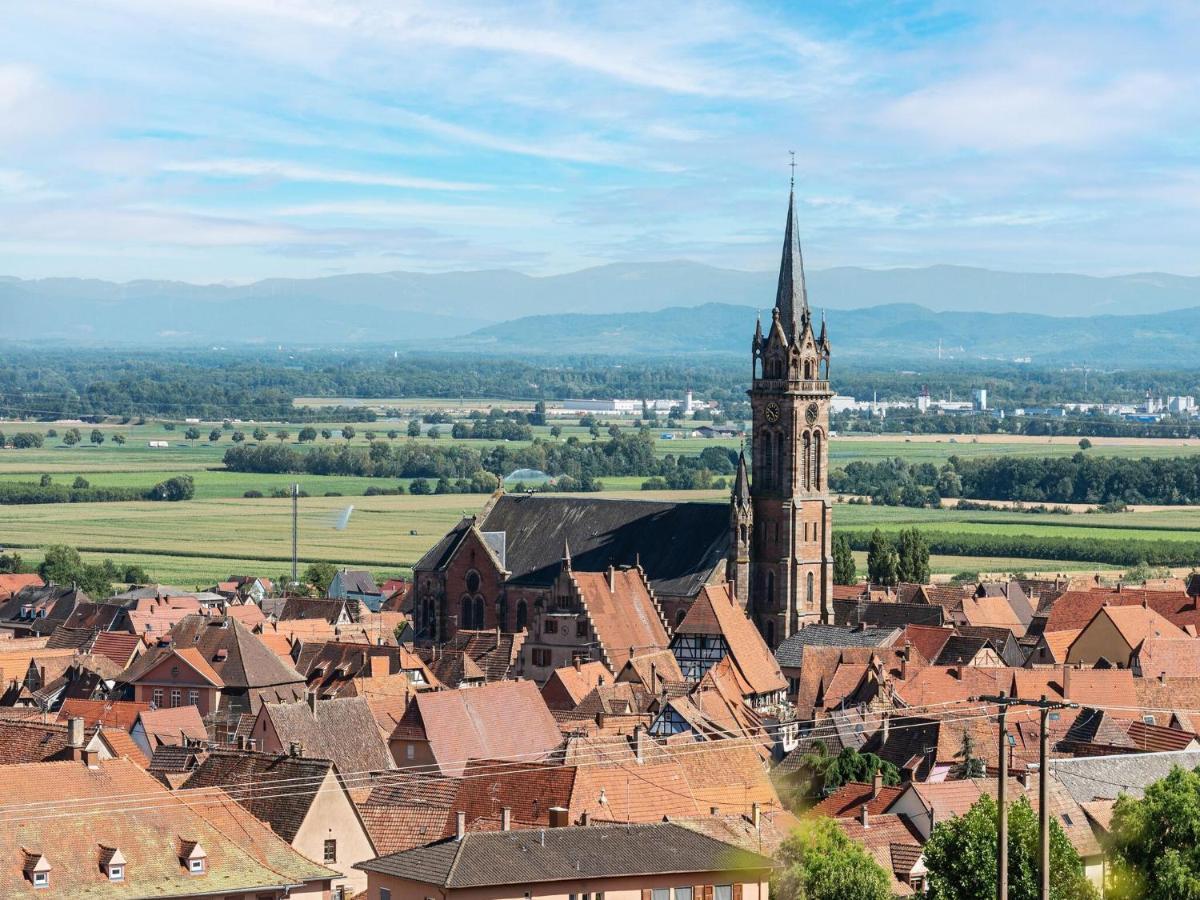Charming Gite In Dambach La Ville With Terrace Ngoại thất bức ảnh